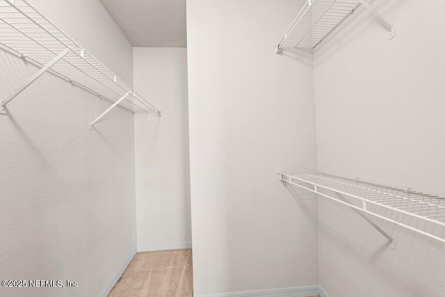 7800 Point Meadows Dr Unit 736, Jacksonville, FL 32256 - spacious closet with carpet flooring