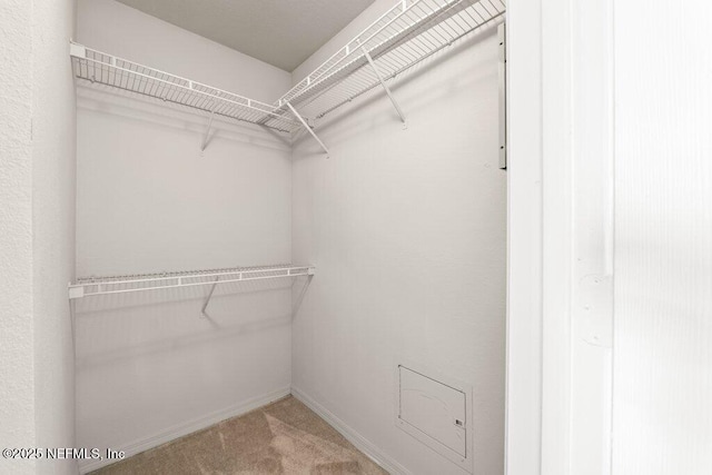 7800 Point Meadows Dr Unit 736, Jacksonville, FL 32256 - walk in closet featuring carpet