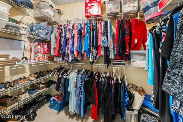 1341 Honeysuckle Dr, Saint Johns, FL 32259 - view of spacious closet