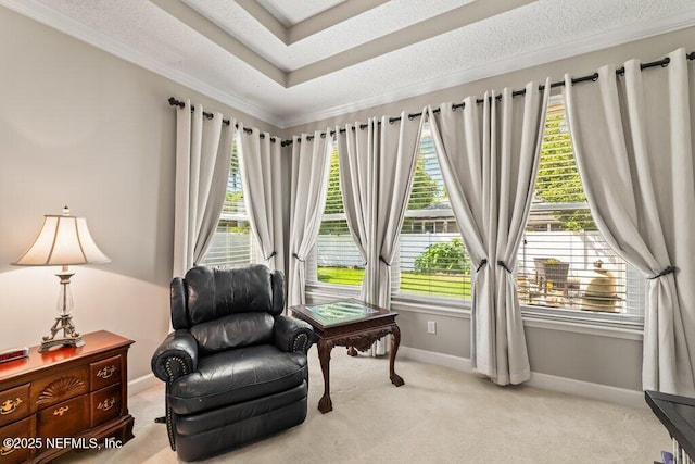 1341 Honeysuckle Dr, Saint Johns, FL 32259 - sitting room with light carpet, baseboards, and crown molding