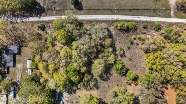 124 Ambrose Ave, Satsuma, FL 32189