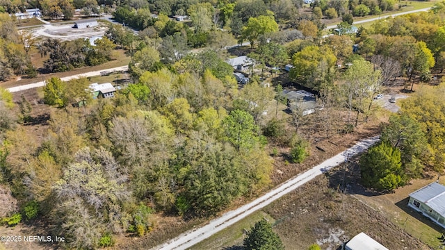 124 Ambrose Ave, Satsuma, FL 32189