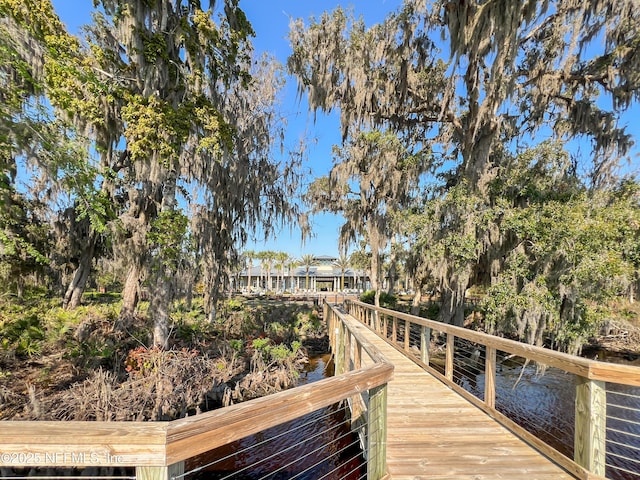 151 Shinnecock Dr, Saint Johns, FL 32259 - photo 80