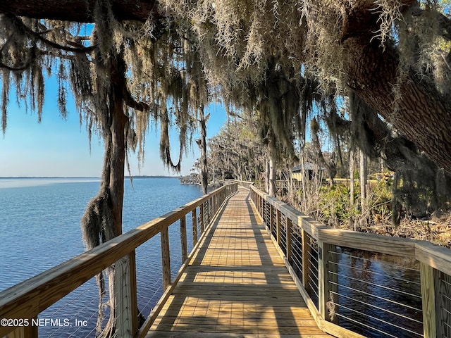151 Shinnecock Dr, Saint Johns, FL 32259 - photo 81
