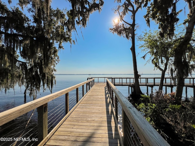 151 Shinnecock Dr, Saint Johns, FL 32259 - photo 82