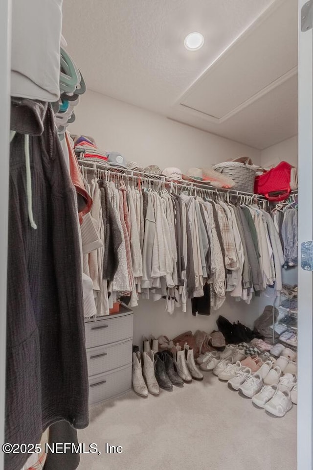 walk in closet featuring carpet flooring