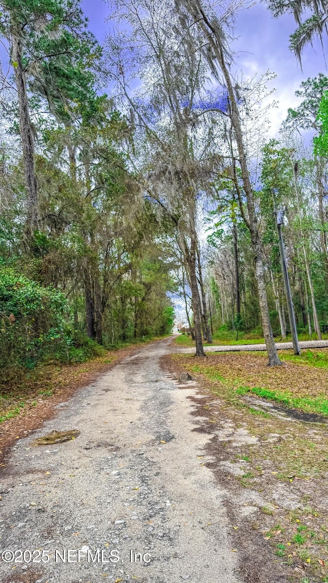 266 Lake Dr, Florahome, FL 32140 - photo 12