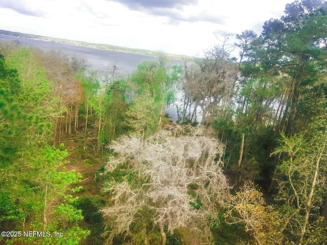 266 Lake Dr, Florahome, FL 32140 - photo 3