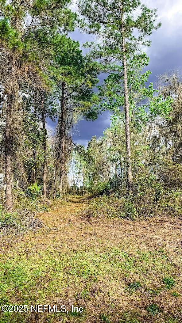 266 Lake Dr, Florahome, FL 32140 - photo 13