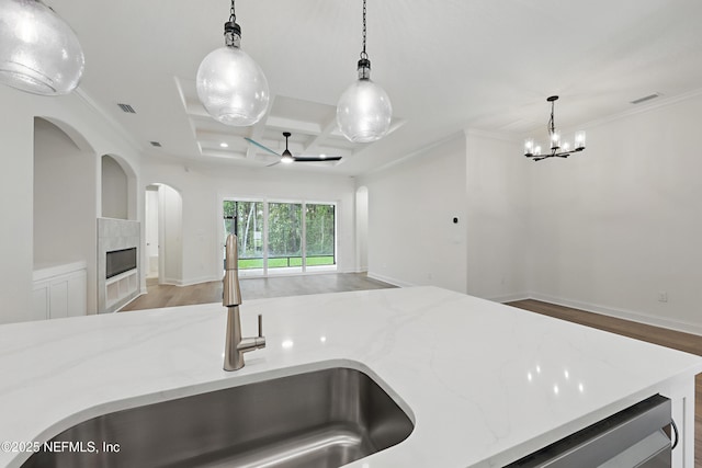 1646 County Road 315b, Green Cove Springs, FL 32043 - kitchen with coffered ceiling, light stone counters, a sink, open floor plan, and visible vents