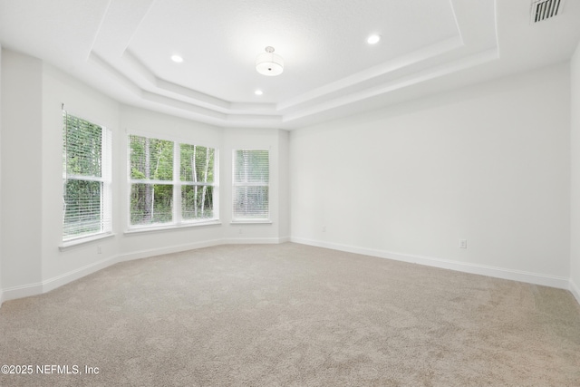 1646 County Road 315b, Green Cove Springs, FL 32043 - carpeted spare room featuring baseboards, visible vents, and a raised ceiling
