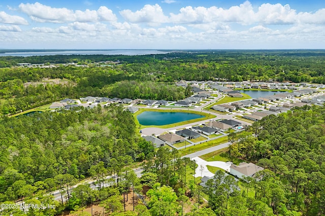1646 County Road 315b, Green Cove Springs, FL 32043 - drone / aerial view featuring a forest view, a residential view, and a water view