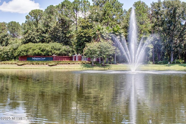 view of water feature