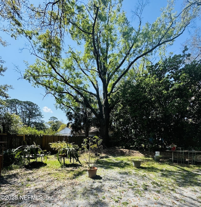 view of yard featuring fence