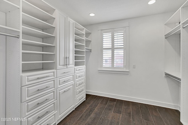 spacious closet with dark wood-style floors