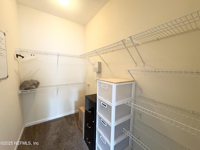 12301 Kernan Forest Blvd Unit 1206, Jacksonville, FL 32225 - walk in closet featuring carpet floors