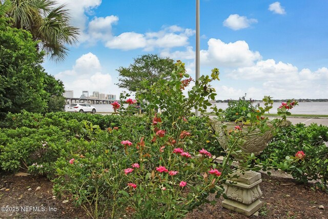 1560 Lancaster Ter Unit 1203, Jacksonville, FL 32204 - photo 41