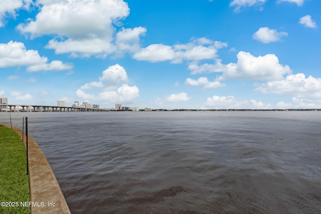 1560 Lancaster Ter Unit 1203, Jacksonville, FL 32204 - photo 44