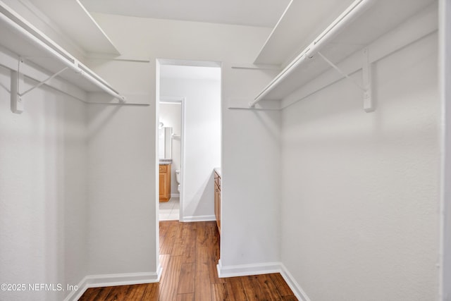 8880 Old Kings Rd S Unit 84, Jacksonville, FL 32257 - walk in closet with wood finished floors