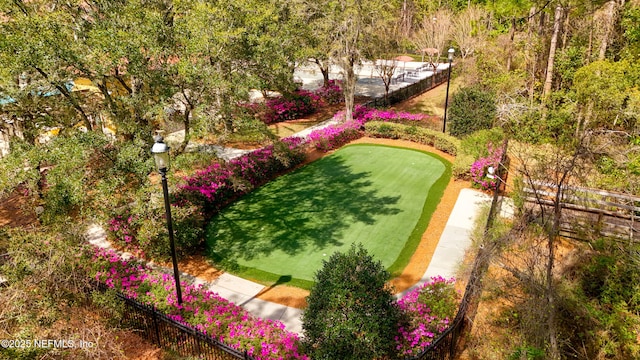 bird's eye view