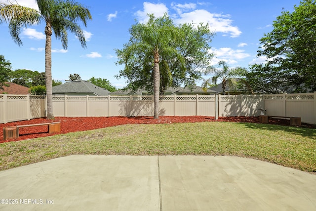 view of yard with a patio area and a fenced backyard