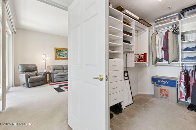 785 Oakleaf Plantation Pkwy Unit 713, Orange Park, FL 32065 - photo 23