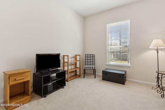 785 Oakleaf Plantation Pkwy Unit 713, Orange Park, FL 32065 - photo 28