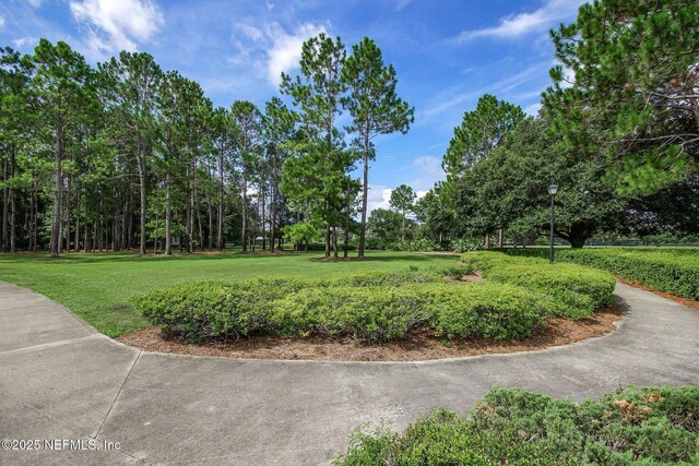 785 Oakleaf Plantation Pkwy Unit 713, Orange Park, FL 32065 - photo 40