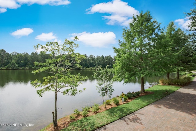 785 Oakleaf Plantation Pkwy Unit 713, Orange Park, FL 32065 - photo 41
