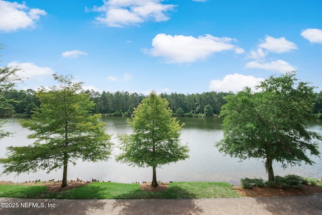 785 Oakleaf Plantation Pkwy Unit 713, Orange Park, FL 32065 - photo 45