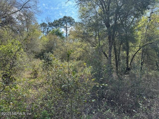 7573 Fremont Ave, Keystone Heights, FL 32656