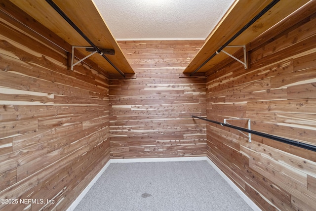walk in closet featuring carpet floors