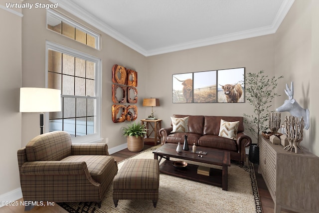 living area featuring baseboards, crown molding, and wood finished floors