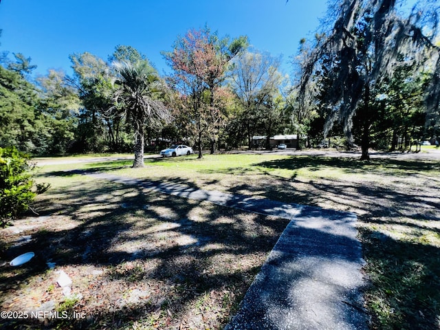 view of road with driveway