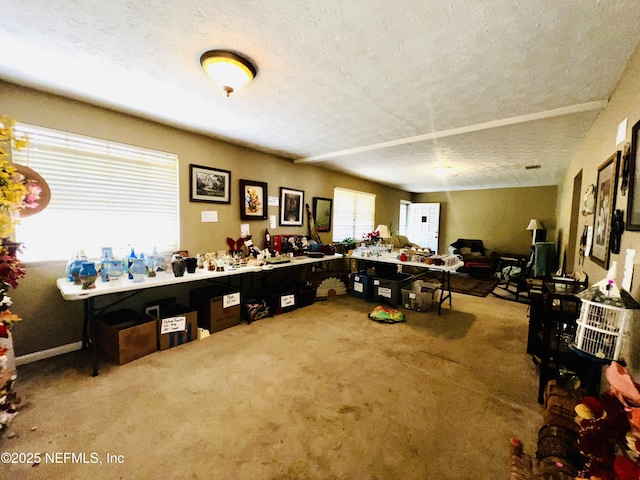 miscellaneous room with a textured ceiling and carpet flooring