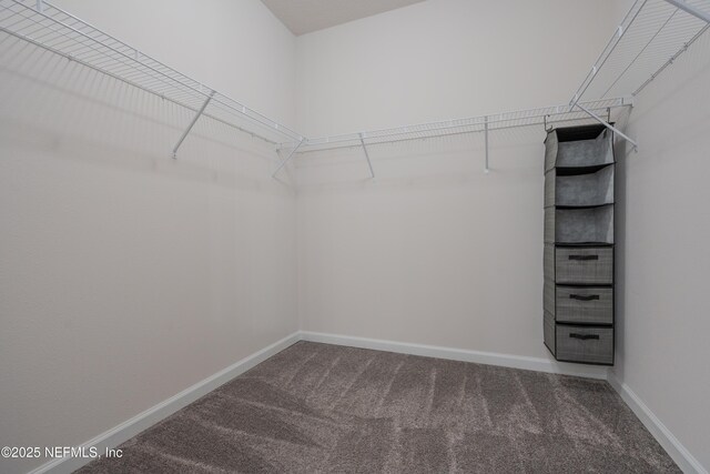 638 Honeycomb Trl, Saint Augustine, FL 32095 - photo 25