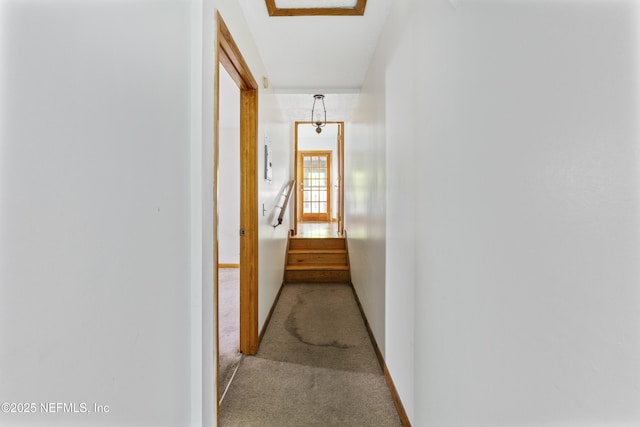 6350 Harlow Blvd, Jacksonville, FL 32210 - photo 4