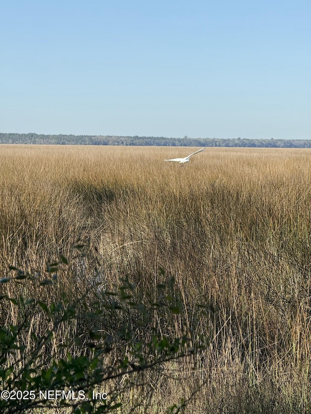 85172 Southern Creek Blvd, Fernandina Beach, FL 32034 - view of nature with a rural view
