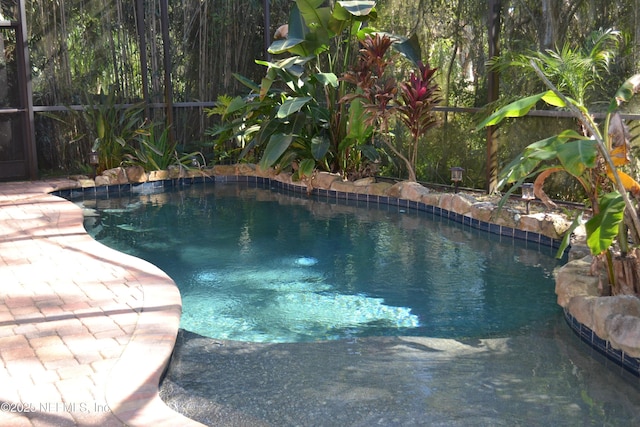 5266 Camelot Forest Dr, Jacksonville, FL 32258 - view of pool