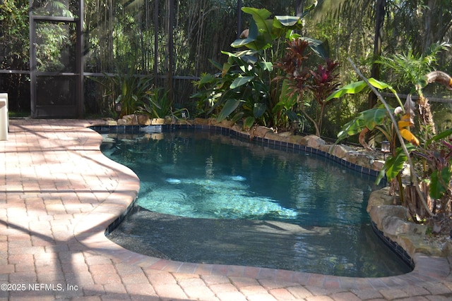 5266 Camelot Forest Dr, Jacksonville, FL 32258 - outdoor pool featuring a lanai
