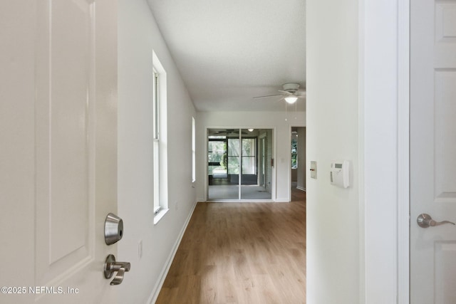 13706 Wm Davis Pkwy, Jacksonville, FL 32224 - hall featuring baseboards and wood finished floors