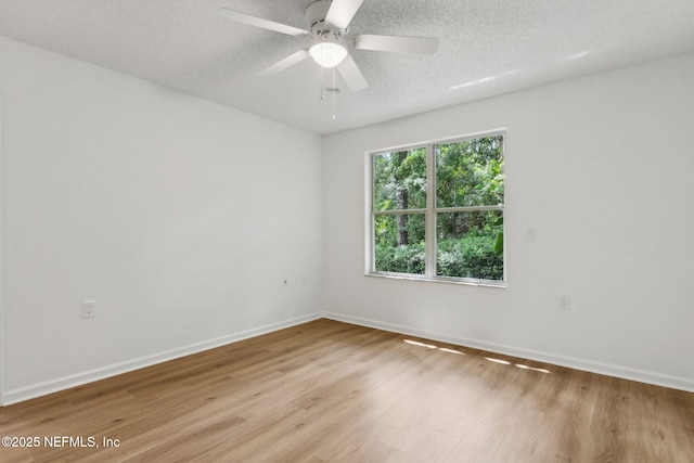 13706 Wm Davis Pkwy, Jacksonville, FL 32224 - empty room with light wood-type flooring, ceiling fan, and a textured ceiling