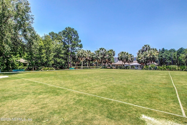 13706 Wm Davis Pkwy, Jacksonville, FL 32224 - view of community