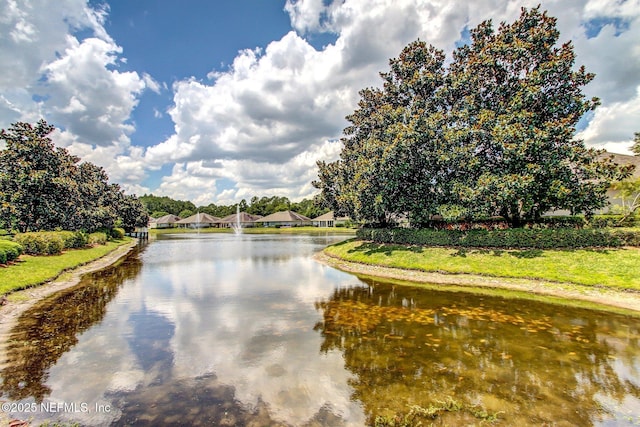 13706 Wm Davis Pkwy, Jacksonville, FL 32224 - water view