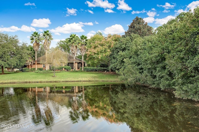 13706 Wm Davis Pkwy, Jacksonville, FL 32224 - water view