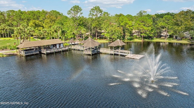 13706 Wm Davis Pkwy, Jacksonville, FL 32224 - dock area featuring a water view and view of scattered trees