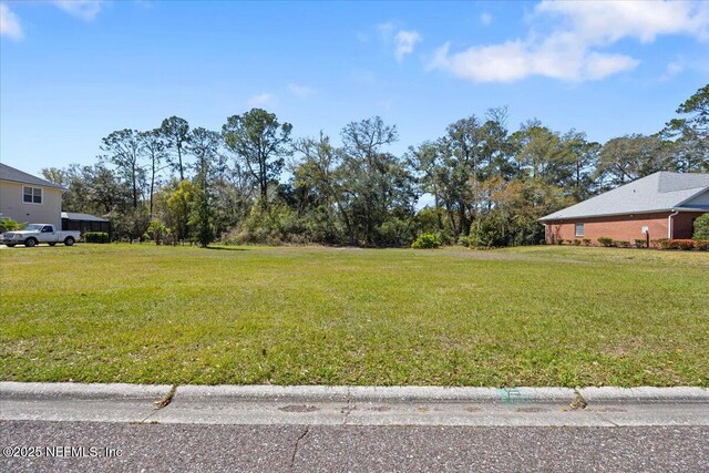 0 Emilys Walk Dr W, Jacksonville, FL 32221 - photo 11