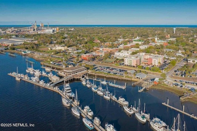 85084 Southern Creek Blvd, Fernandina Beach, FL 32034 - birds eye view of property with a water view