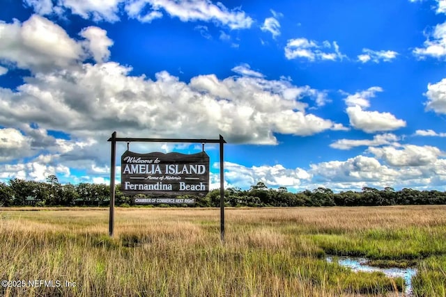 85118 Southern Creek Blvd, Fernandina Beach, FL 32034 - view of exterior details