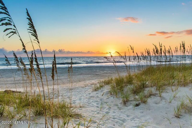 85118 Southern Creek Blvd, Fernandina Beach, FL 32034 - property view of water featuring a beach view